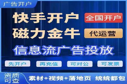 SEM推广实战：成功案例剖析